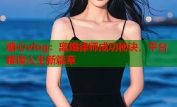 糖心vlog：离婚律师成功秘诀，平台解读人生新篇章