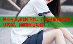糖心vlog旧版下载，轻松获取精彩视频内容，随时随地观看