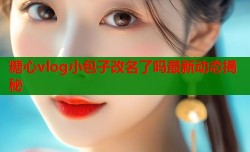 糖心vlog小包子改名了吗最新动态揭秘