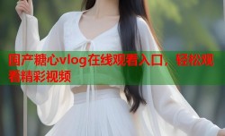 国产糖心vlog在线观看入口，轻松观看精彩视频