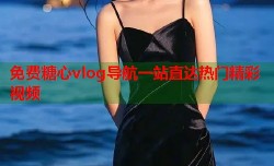 免费糖心vlog导航一站直达热门精彩视频