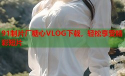 91制片厂糖心VLOG下载，轻松享受精彩短片