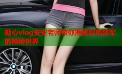 糖心vlog安安老师带你揭秘雷电将军的神秘世界