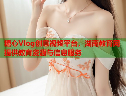 糖心Vlog创意视频平台，湖南教育网提供教育资源与信息服务  第2张