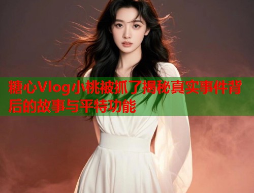 糖心Vlog小桃被抓了揭秘真实事件背后的故事与平特功能  第1张