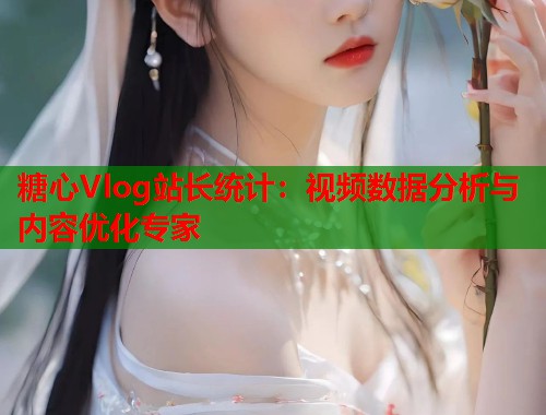 糖心Vlog站长统计：视频数据分析与内容优化专家  第1张