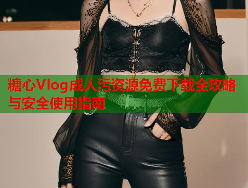 糖心Vlog成人污资源免费下载全攻略与安全使用指南  第2张